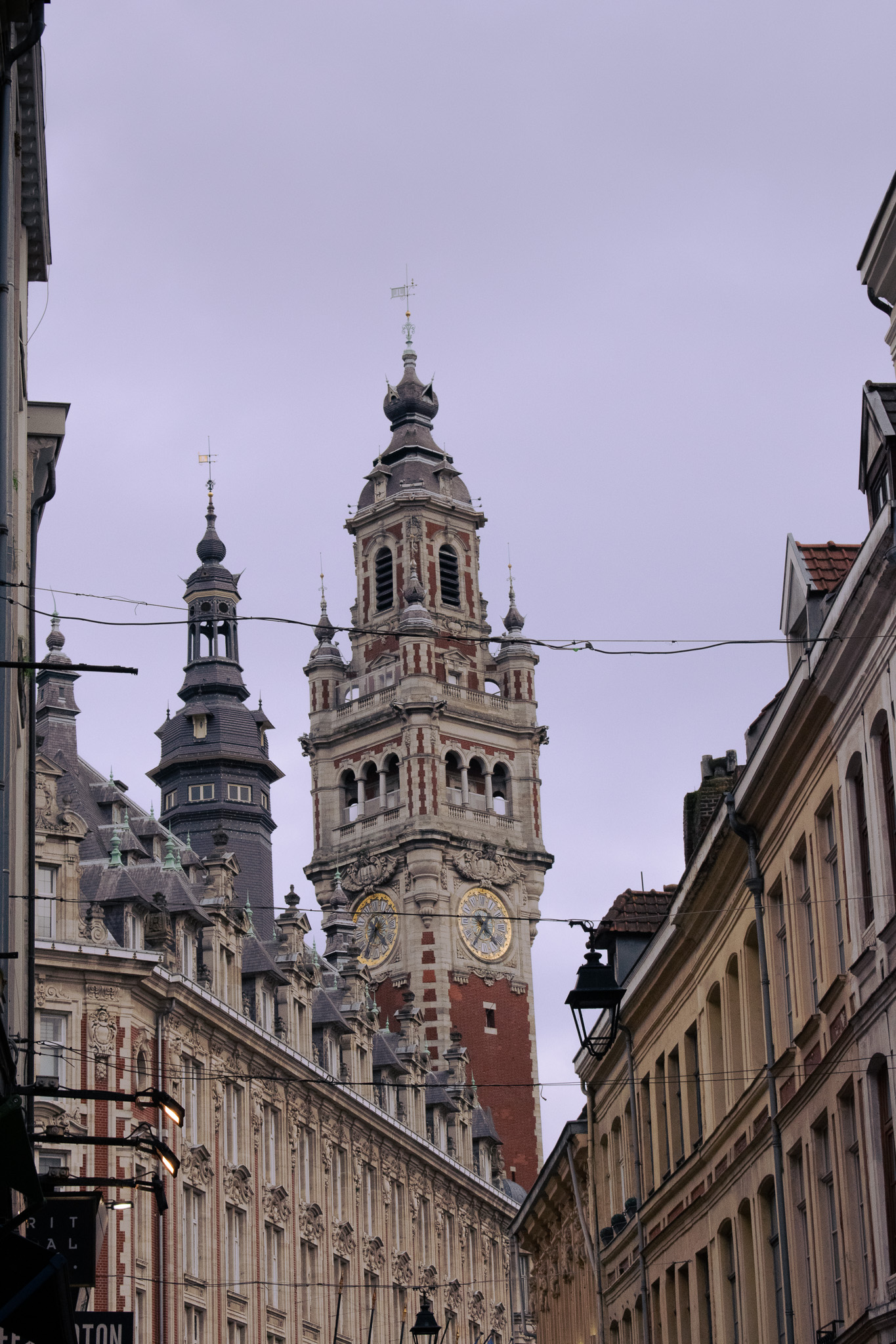 DSC_0077